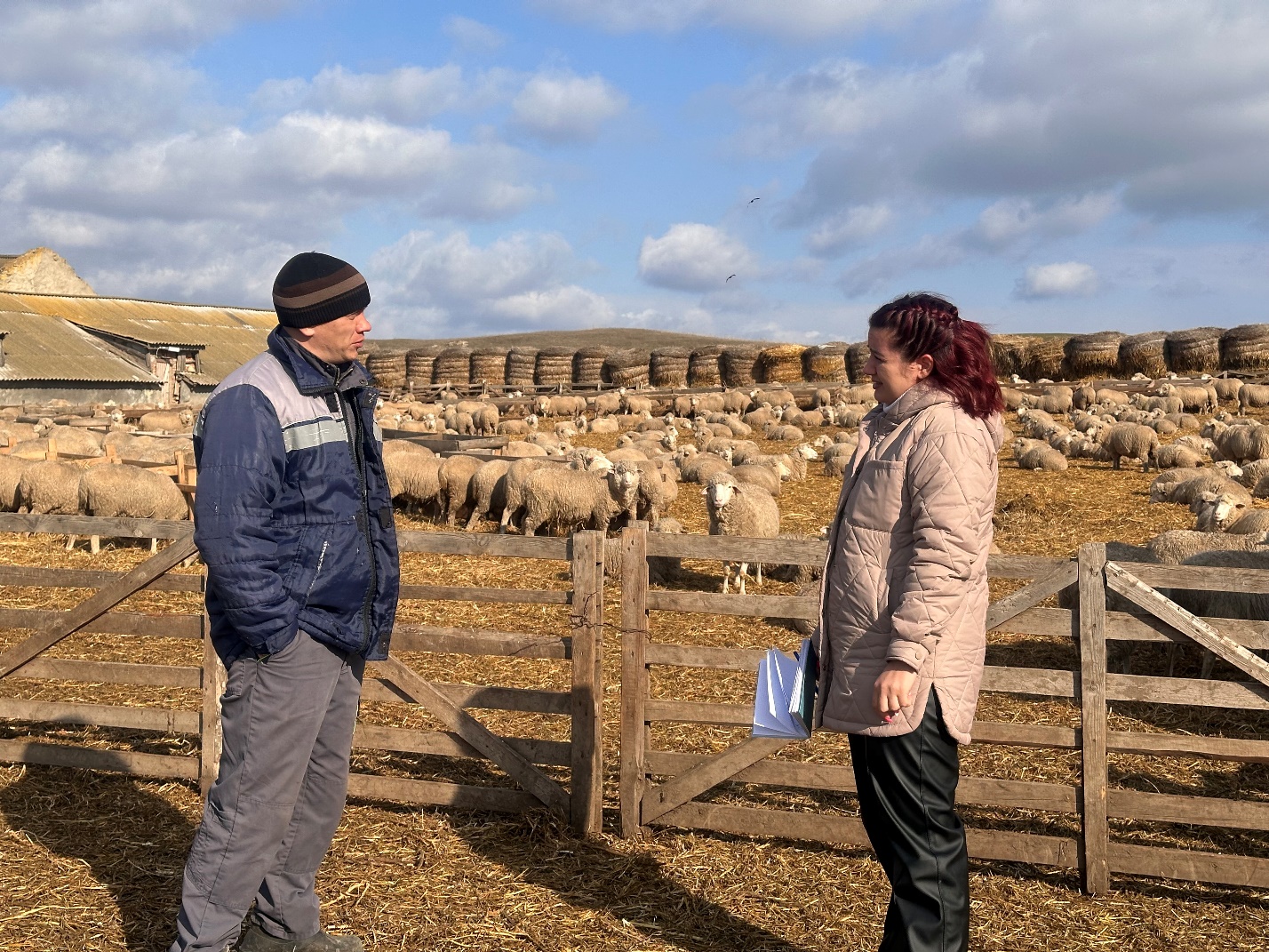 В Новоселицком округе Ставрополья началась окотная кампания в овцеводстве.
