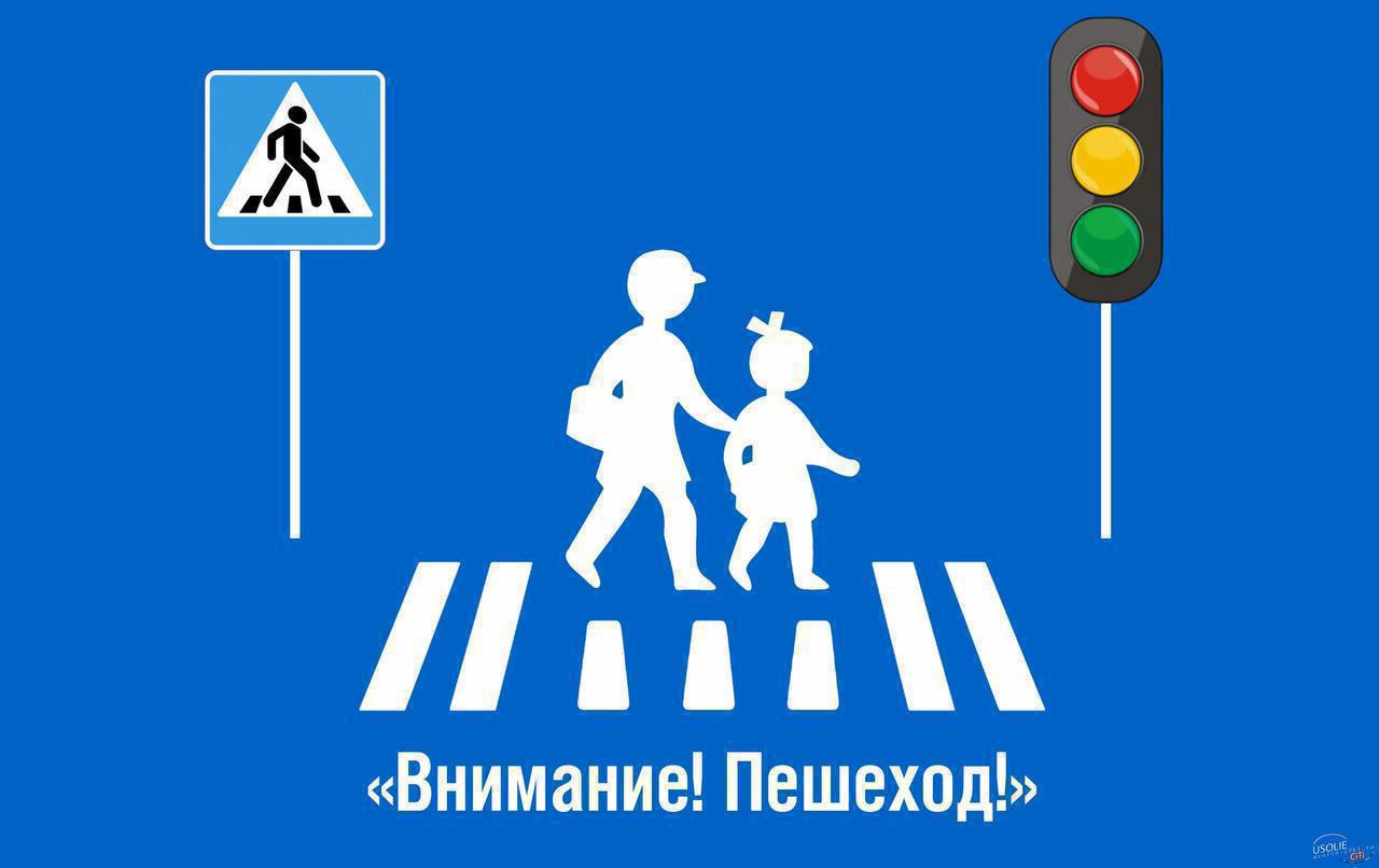 ⚠️С целью снижения уровня аварийности среди пешеходов, а также соблюдения водителями и пешеходами Правил дорожного движения с 4 по 10 октября    2024 года на территории Новоселицкого муниципального округа будут проведены профилактические мероприятия по бе.