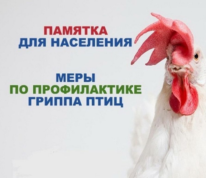 ИНФОРМАЦИЯ ПО ПРОФИЛАКТИКЕ ЗАНОСА И РАСПРОСТРАНЕНИЯ ВИРУСА ГРИППА ПТИЦ. ИНФОРМАЦИЯ ПО ПРОФИЛАКТИКЕ ЗАНОСА И РАСПРОСТРАНЕНИЯ ВИРУСА ГРИППА ПТИЦ.