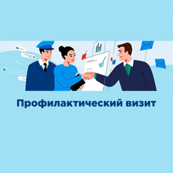 Профилактический визит в сфере благоустройства. Профилактический визит в сфере благоустройства.